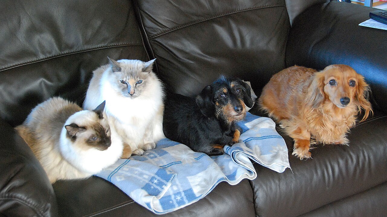 Family Gathering Photo